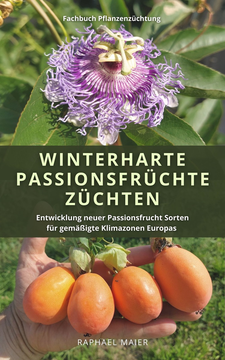 Winterharte Passionsfrchte, Zchtung, Passiflora, Raphael Maier