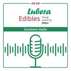 LE, Lubera Edibles, Podcast, Gärtnerradio