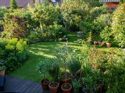 Mein Garten Terrasse und Rasen