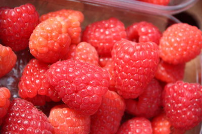 FAQ Raspberries