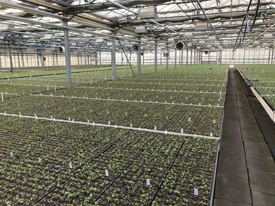 Spring Update