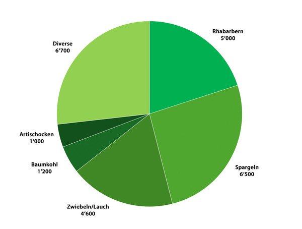 LE Artikel Premium Gemse, Gemse, Diagramm Ewiges Gemse