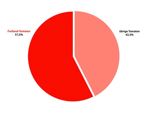 LE Artikel Premium Gemse, Gemse, Diagramm Tomaten, Freilandtomaten, sonstige Tomaten