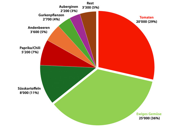 LE Artikel Premium Gemse, Gemse, Diagramm Verteilung Gemse Allgemein