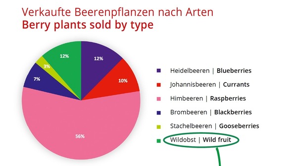 LE, Artikel Beerenobst 2023, Verteilung Verkufe nach Beerenarten, Beerensortiment, Sortiment Beerenobst