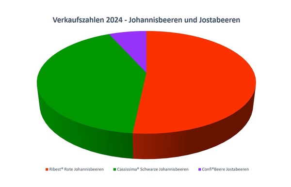 Grafik, Cassissima, Verkaufszahlen 2024, Pflanze des Jahres